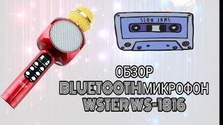 МИКРОФОН WS-1816 | ТЕСТ ОБЗОР | by Astasia