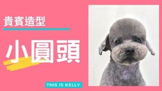 貴賓犬小圓頭造型｜凱莉老師 Groomer Kelly｜寵物美容教學｜Poodle Pet Grooming