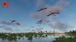 THE CREW 2: Pink (Flamingo) // Wildlife photo location