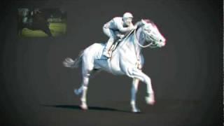 3D Horse Racing Animation