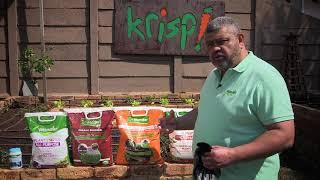 Let's Talk Gardening with Efekto EP 4 Veggie Gardening