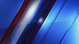 Wiregrass resident finds narcotics inside newly bought toy