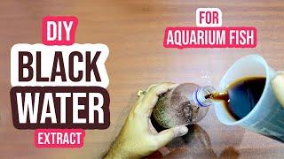 How to Make Black Water for Aquarium Fish: DIY Blackwater Extract!