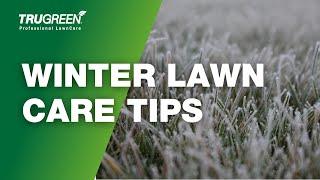 TOP WINTER LAWN CARE TIPS | TruGreen TGTips