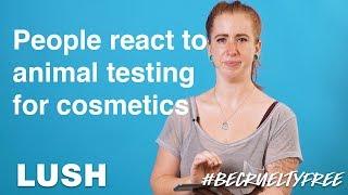 Watch people react to photos of animal testing for cosmetics #BeCrueltyFree