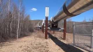 Trans Alaska Oil Pipeline Tour