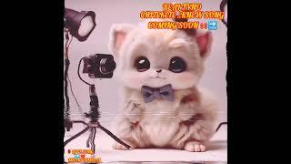 REAL TYNO MUSIC _-_CHITEKETE OFFICIAL MUSIC VIDEO