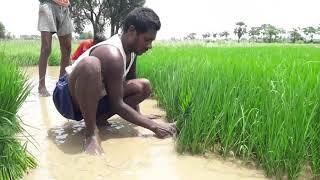 INDIANS FARMERS_THE UNKNOWN STORY | Story of Indians farmer | Trailer | Incredible Our India