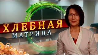 ПОСЛЕ ВЕГАНСТВА.3.Углеводная еда- пища бедных? Почему бедные люди - толстые? Замалеева Г.А. 2021