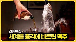 역사를 모르는 민족에게 '맥주'란 없다