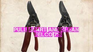 pulling apart cleaning and reassembly of FELCO 7 secateurs