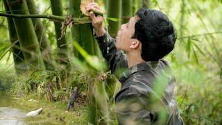 Monster Fishing: Sipping on Nature's Finest Water! Create bamboo wall! | Ky Farm