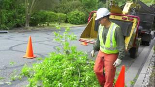 Preventing Wood Chipper Fatalities