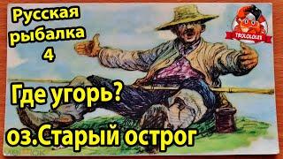 Где Угорь? оз.Старый острог. Русская рыбалка 4.