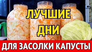 В НОЯБРЕ - когда СОЛИТЬ КАПУСТУ, чтобы была очень вкусной? Лунный календарь засолки капусты ноябрь