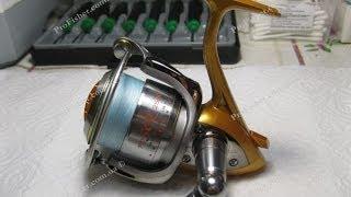 Daiwa SOL 2500