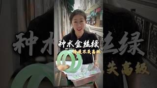 （全集）小翡聯繫方式官方Line :@057ujhlv️微信 ；FC708888 种水金丝绿手镯并没有你想象中那么贵，清透又高级姐妹们喜欢吗？ #翡翠手镯 #珠宝首饰 #翡翠 #jade
