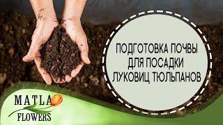 Подготовка почвы для посадки луковиц тюльпанов