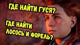 Horizon Zero Dawn Гайд: Где найти гусей, а также Лосось и Форель