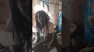 Kingson calabash white house bible leaf freestyle