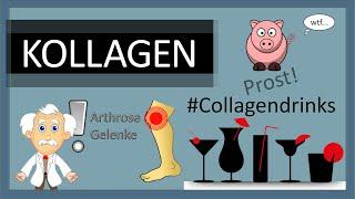 Was ist Kollagen? – Wirkung von Kollagenhydrolysat bei Arthrose & Gelenkschmerzen – Collagen Studien