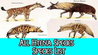 All Hyena Species - Species List