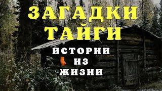 Жуткие случаи в тайге/ Истории таёжных охотников/ Страшные истории