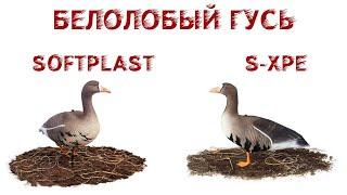 Чучела белолобого гуся SOFTPLAST 3D и North Way S-XPE