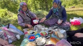 Bugün inek sürüsü ile yürüyerek ormana gittik/Dönüşte traktör kasasında hop hop  döndük 