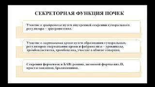 13:50 ФИЗИОЛОГИЯ ВЫДЕЛЕНИЯ  МЕХАНИЗМ МОЧЕОБРАЗОВАНИЯ