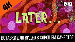 #5 Later / Позже | SpongeBob Timecard | Вставка для видео | Insert for video