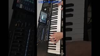 Prezentare  performante tonuri korg pa5x manual  2024