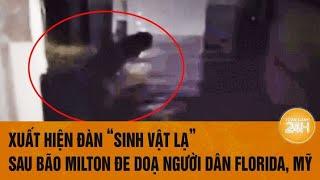 Vấn đề hôm nay 12/10: Xuất hiện đàn ‘sinh vật lạ’ sau bão Milton đe doạ người dân Florida (Mỹ)