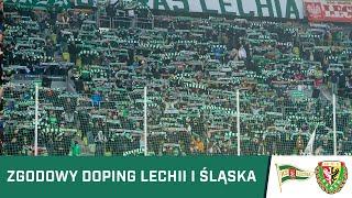 KIBICE: Zgodowy doping kibiców Śląska i Lechii