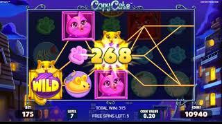 COPY CATS (Netent slot) : 10 Free Spins & horrific big win !