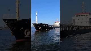 Владивосток  #владивосток #приморье #море #корабли #приморьеwithlove #чайки