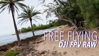 FREE FLYING! DJI FPV 4K RAW 5 Minute Flight!