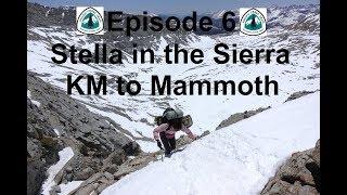 Stella Hikes Episode 6 - Stella in the Sierra - Miles 704.5-903 of the PCT