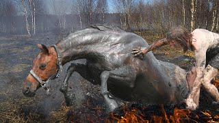 УДИВИТЕЛЬНОЕ СПАСЕНИЕ! Конь не забыл ДОБРО и Спас Жизнь Своему Юному Хозяину.