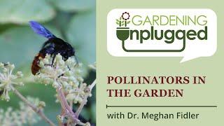 Gardening Unplugged - Pollinators with Meghan Fidler