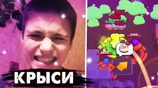 ЭНДРЮ ЖЕСТКО КРЫСЯТ ТИМЕЙТИ В ШД / НАРЕЗКИ ЭНДРЮ BRAWL STARS