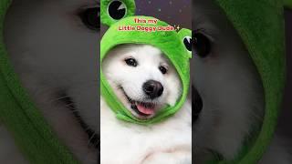 The Doggy Anthem#funny #pets #tiktok #puppy #samoyed #cutedog #dogshorts #shiro song:1dude2doodles