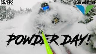 2024 POWDER DAY at SNOWBIRD!