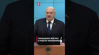 Лукашенко: Как можно выровнять показатели, если телята погибли! #лукашенко #беларусь #новости