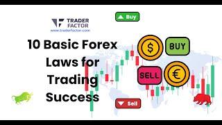 10 Basic Forex Laws for Trading Success TraderFactor