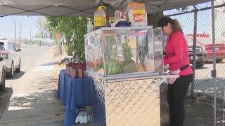 New street vendor program launches in Sacramento