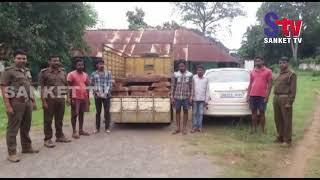 Odisha : Five arrested for smuggling wood in Mayurbhanj | Sanket Tv