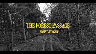 The Forest Passage by Ernst Jünger (Book Review)