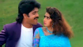 Andama Anduma Video Song - Nagarjuna, Sridevi Evergreen Superhit Song | Govinda Govinda Movie Songs