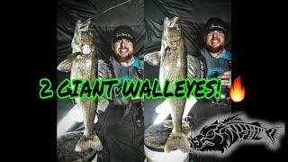 GIANT WALLEYES Mille Lacs Lake Walleyes Ice Fishing Hawg Hunterz Jigging Spoons